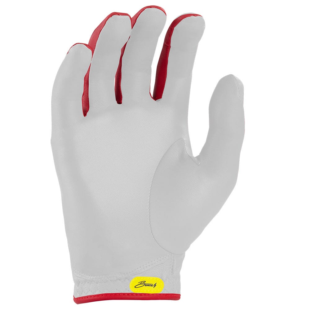 bruce-bolt-signature-series-golf-gloves-2-pack-sergio-garcia-right-golf-gloves-samku-industries-inc-652514.jpg